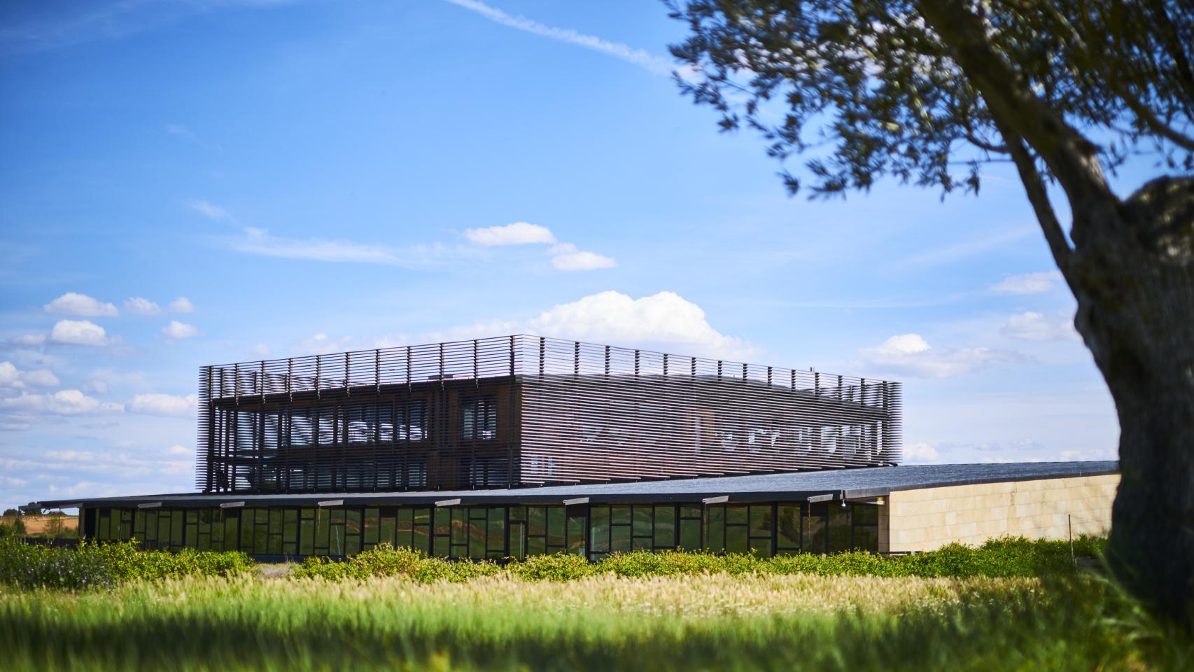 Bodegas Bela en Ribera del Duero