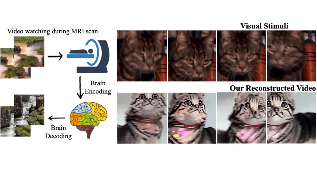 Resultados de Mind-Video