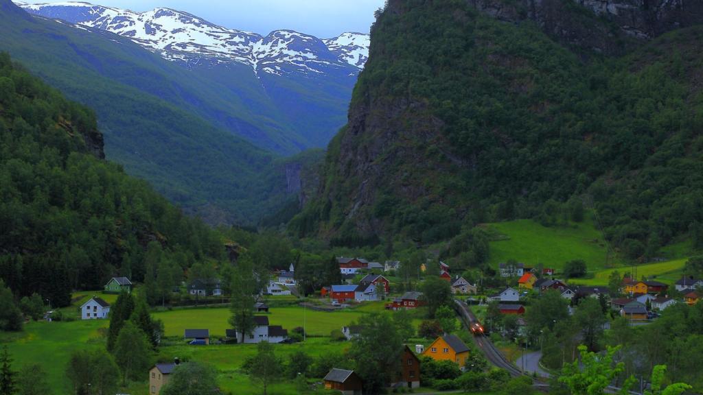 Tren que llega a Flam