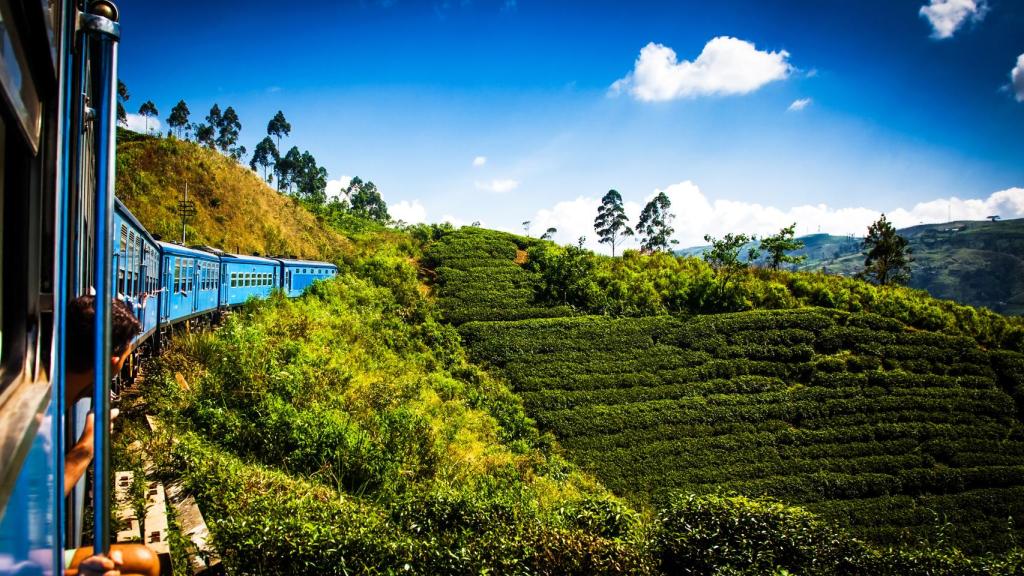Ruta del té de Sri Lanka