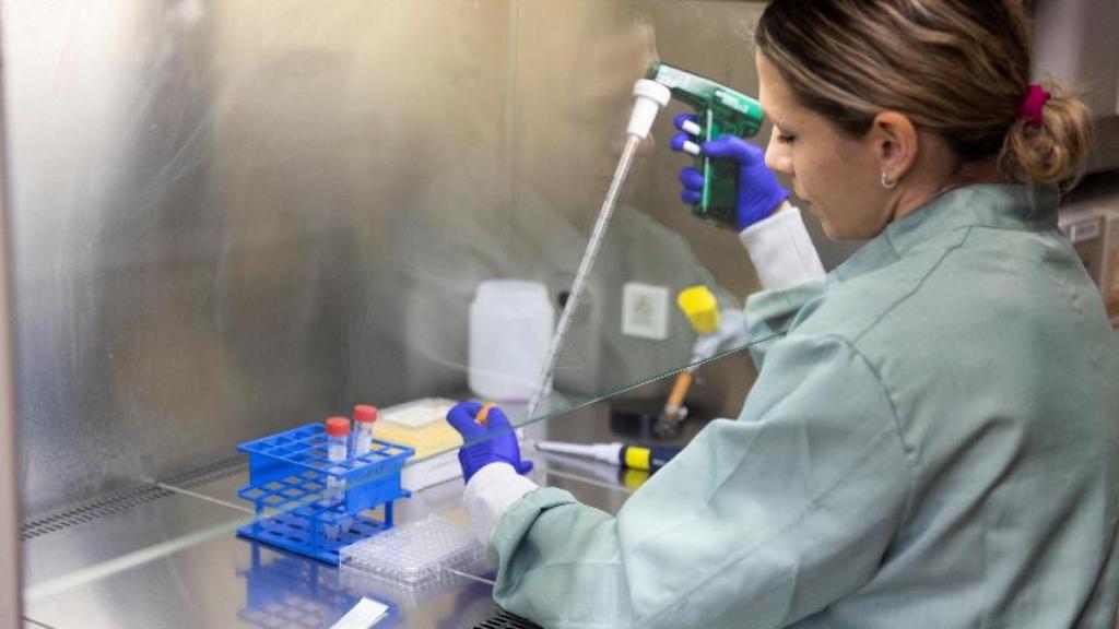 Eva García-Veros, investigadora de la Unidad de Investigación Clínica en Inmunoterapia del Cáncer H12O-CNIO, dirigida por Luis Álvarez-Vallina.