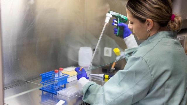 Eva García-Veros, investigadora de la Unidad de Investigación Clínica en Inmunoterapia del Cáncer H12O-CNIO, dirigida por Luis Álvarez-Vallina.