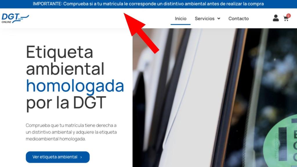 Versión de la página web denunciada