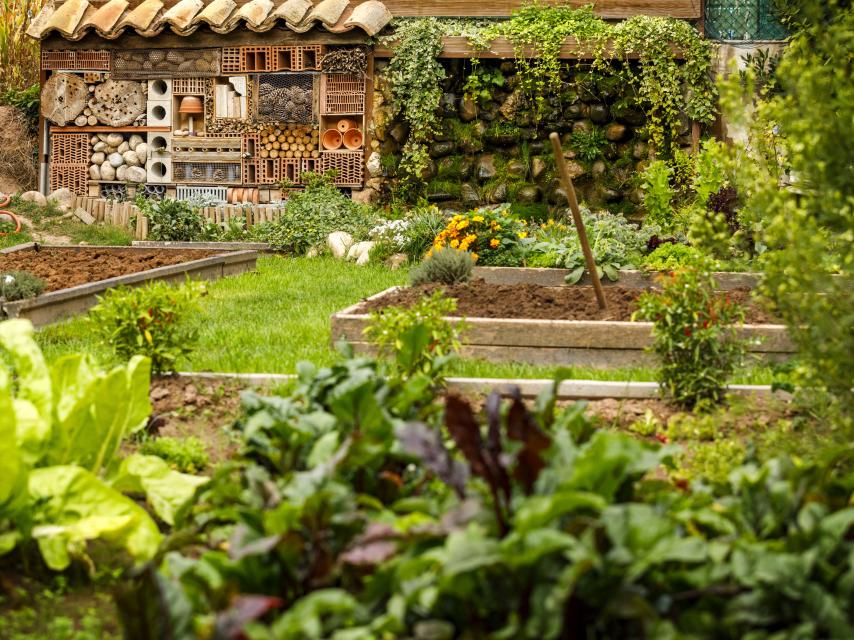 La huerta que rodea Venta Moncalvillo, el restaurante que ya tiene una estrella Michelin.