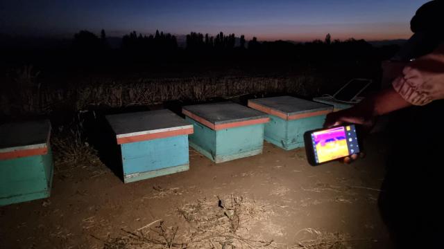 El sistema de The Earth Says mide la cantidad de abejas en cada colmena.