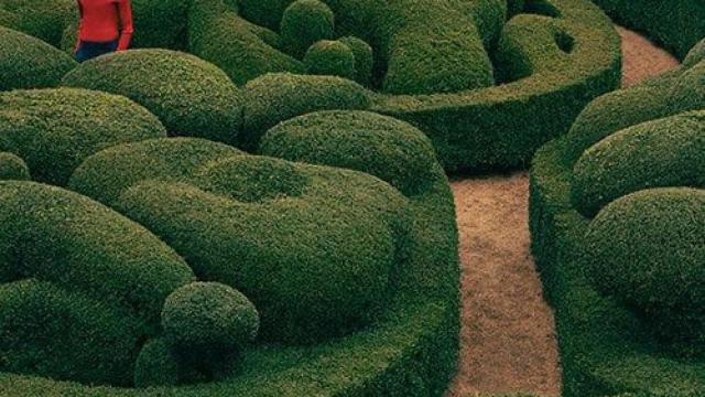 El jardín, el mejor lugar para besarse.