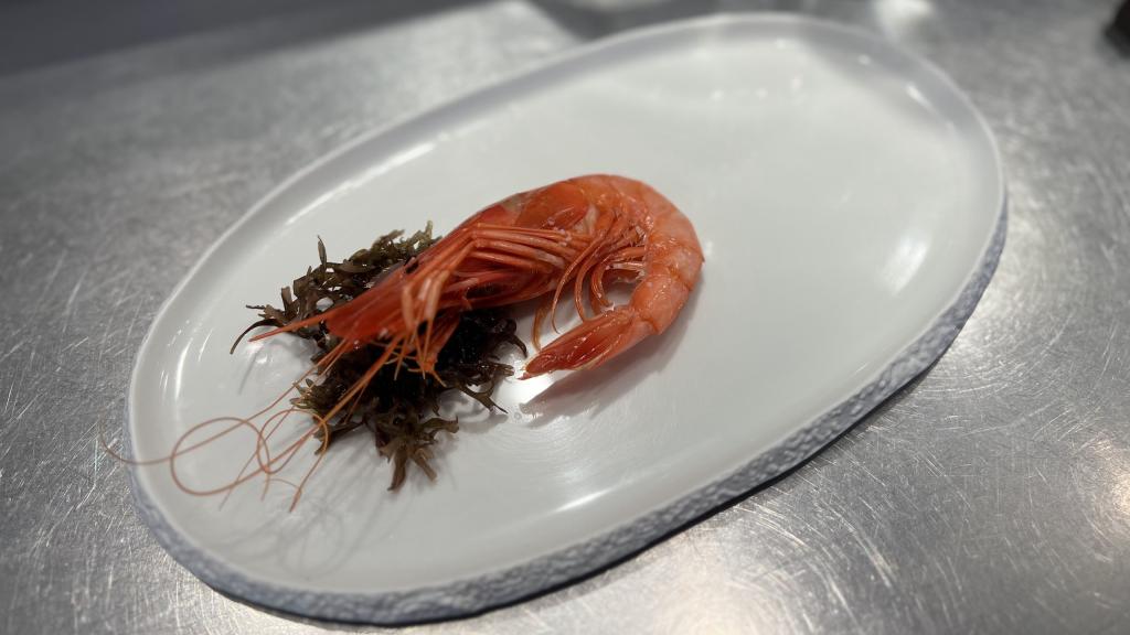 Gamba roja, producto en estado puro