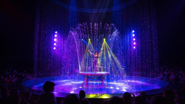 'Circo Sobre Agua'