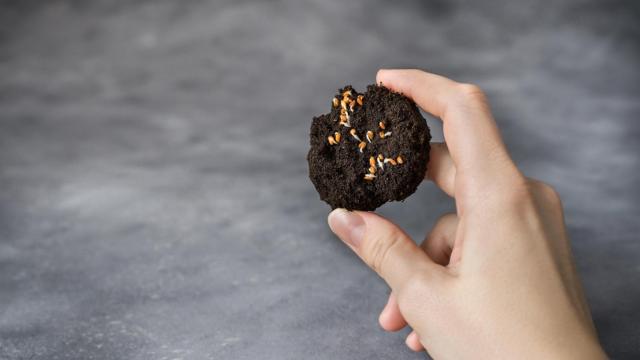 ¿Conoces las bombas de semillas Nendo Dango? Así es el mejor método natural para cultivar