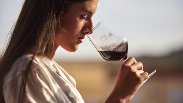 Enoturismo en Monteabellón