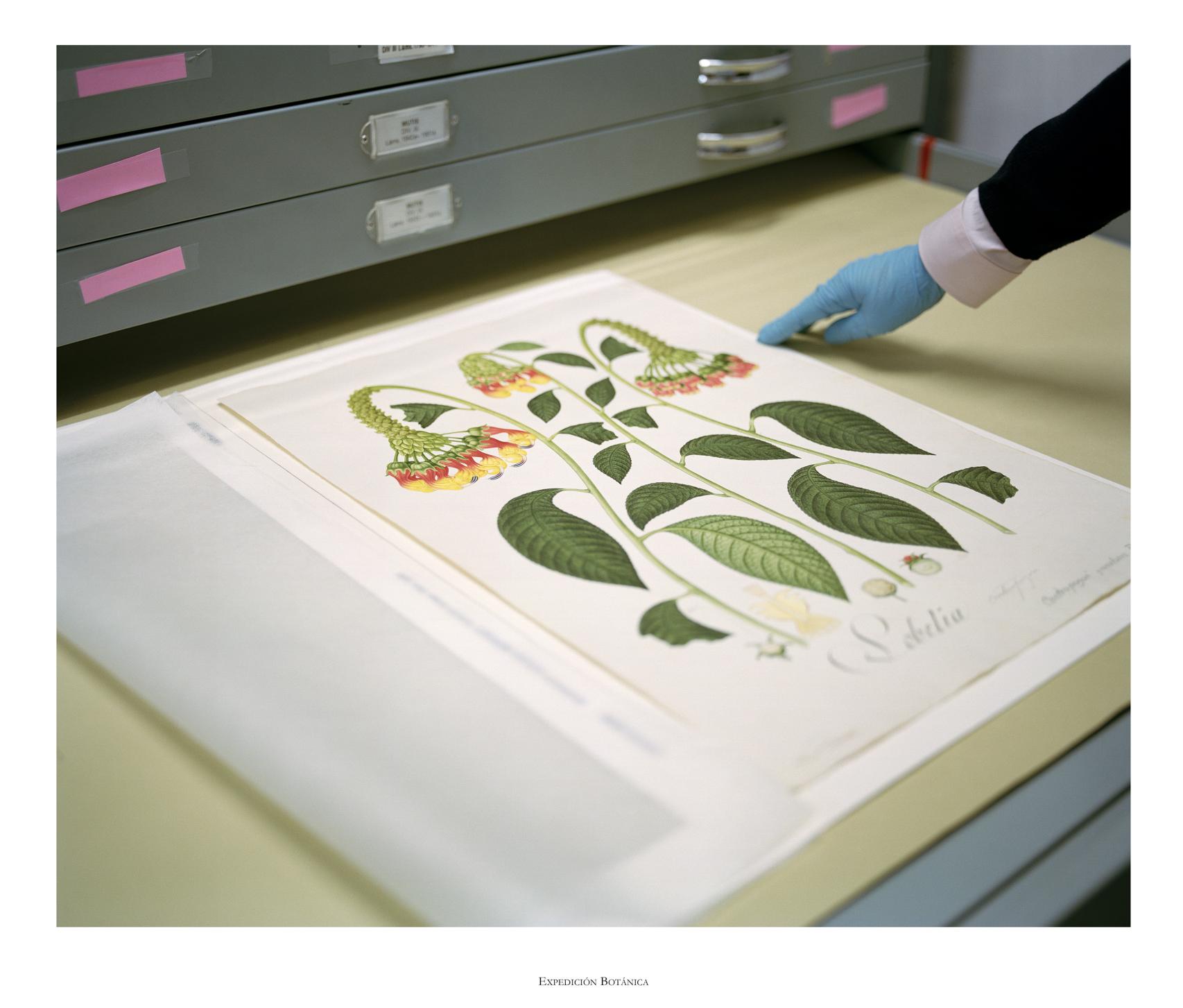 Bleda y Rosa: 'Arte y Vocabulario de la Lengua Achagua'. Biblioteca Nacional de Colombia, Bogotá, Colombia, 2016. De la serie 'Prontuario'. © Bleda y Rosa, VEGAP, Madrid, 2023