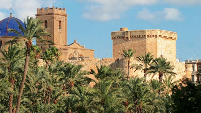 La basílica de Santa María, donde se celebra el Misteri, rodada de palmeras.