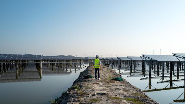 La política climática de la UE crea las condiciones para que los grandes fabricantes se descarbonicen