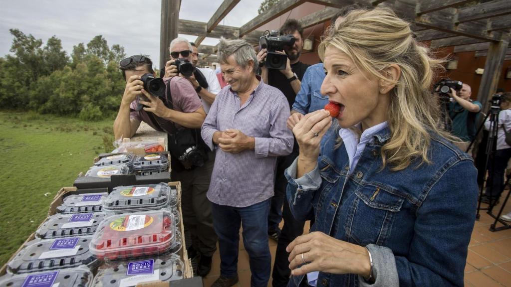 La ministra de Trabajo, Yolanda Díaz, come una fresa en Doñana.
