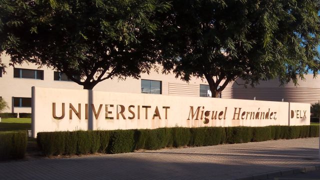 La UMH, la universidad pública valenciana con mayor inserción laboral según Fundación BBVA