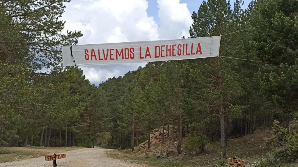 El 21 de mayo, los vecinos colgaron esta pancarta en un paraje donde ya hay más árboles marcados para su tala. Una semana después, alguien cortó el árbol que lo sujetaba.