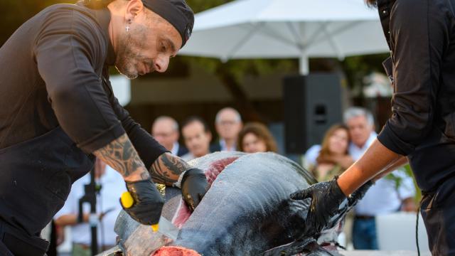 El ronqueo del atún rojo, este jueves en el WOW Beach.