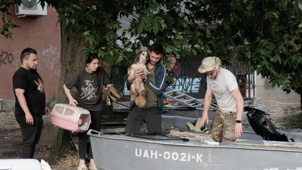 Labores de evacuación de UAnimals en Jersón.