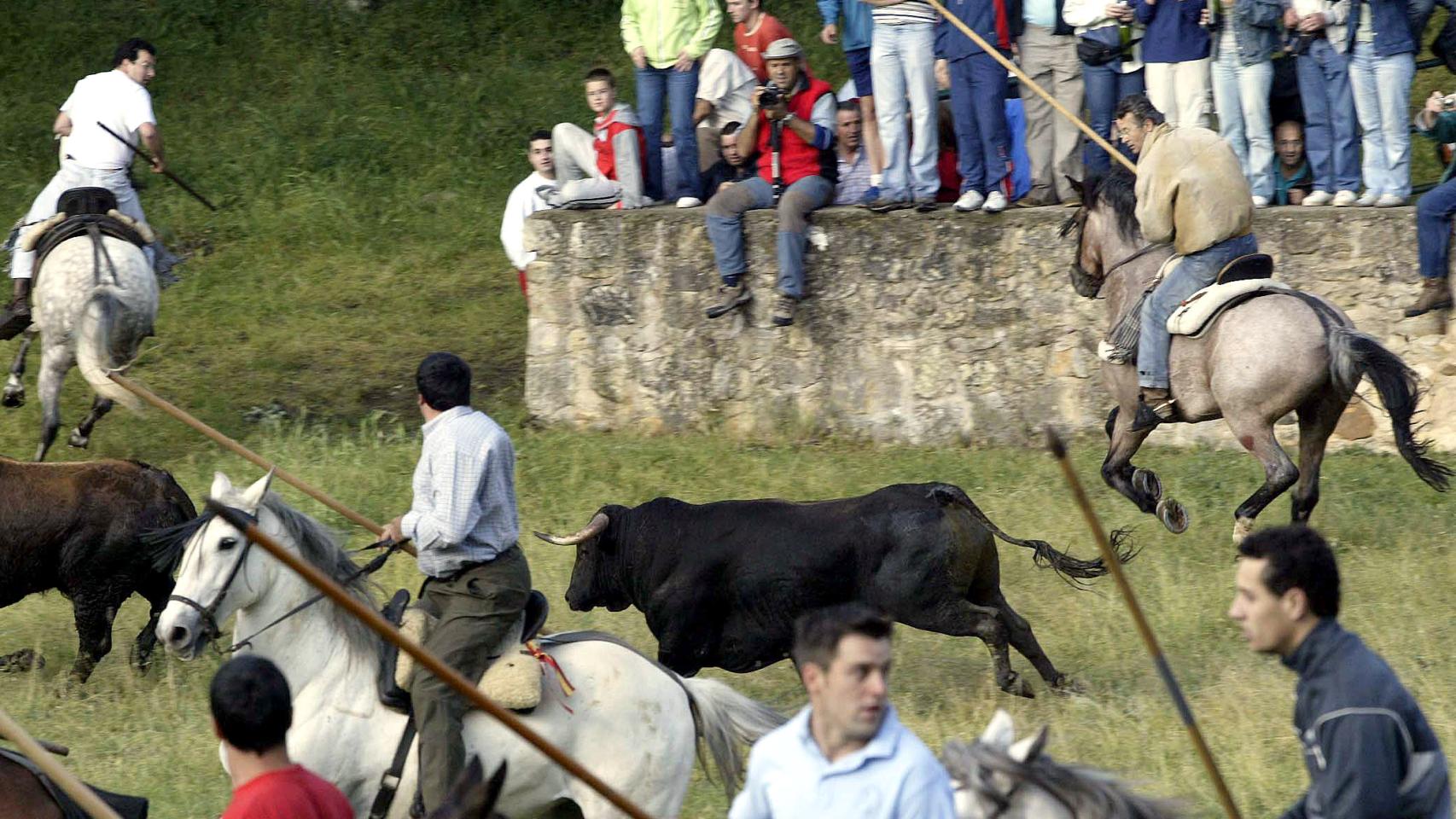 Tradicional fiesta taurina del Lavalenguas de Soria