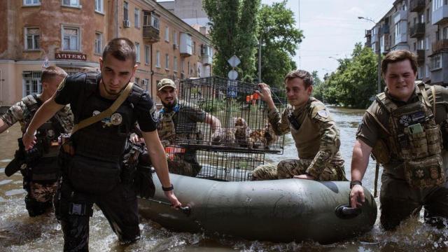 Imagen distribuida por Volodimir Zelenski del rescate de gatos en la región de Jersón.