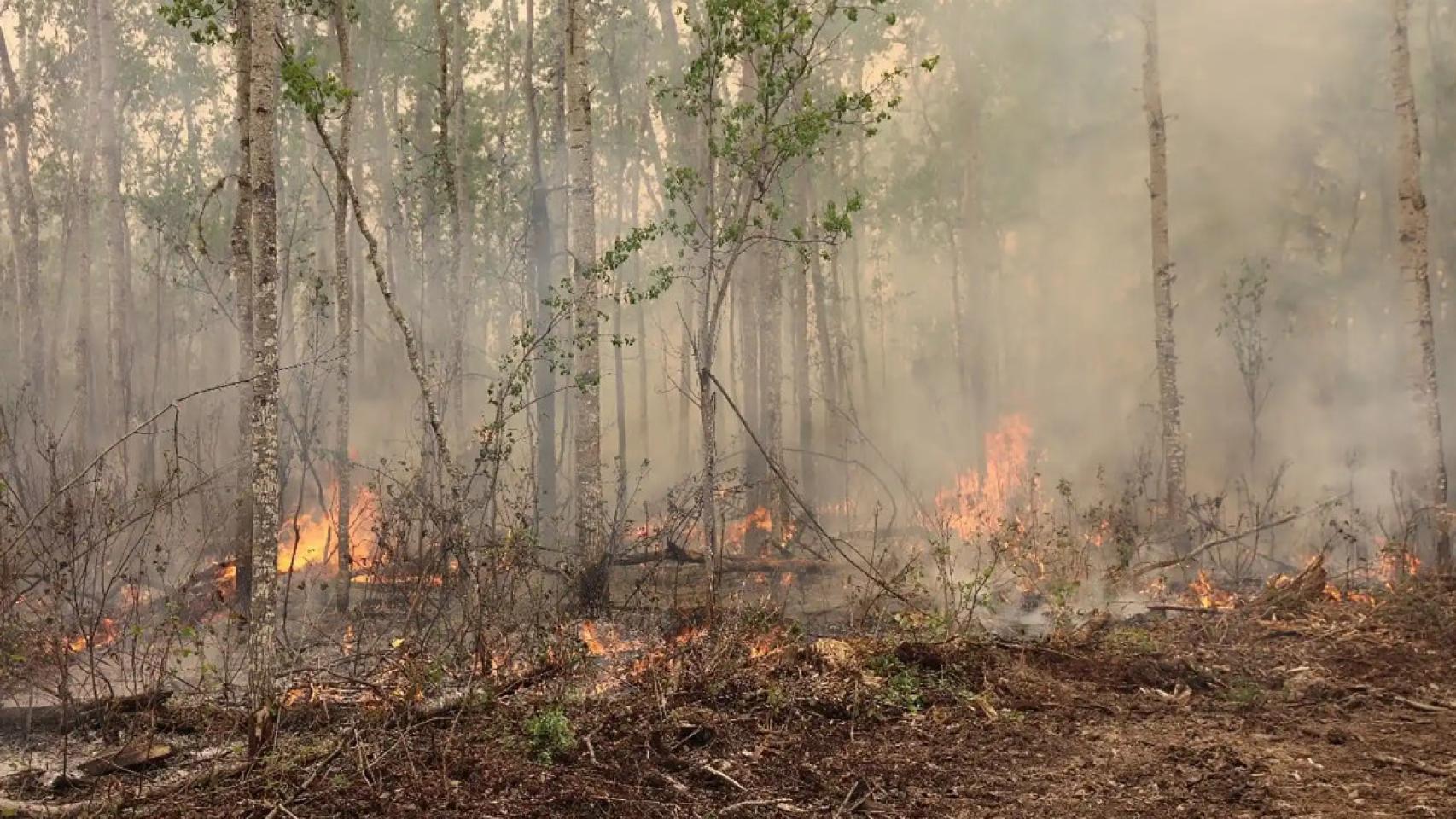 Incendio en Canadá. Foto: EL ESPAÑOL.