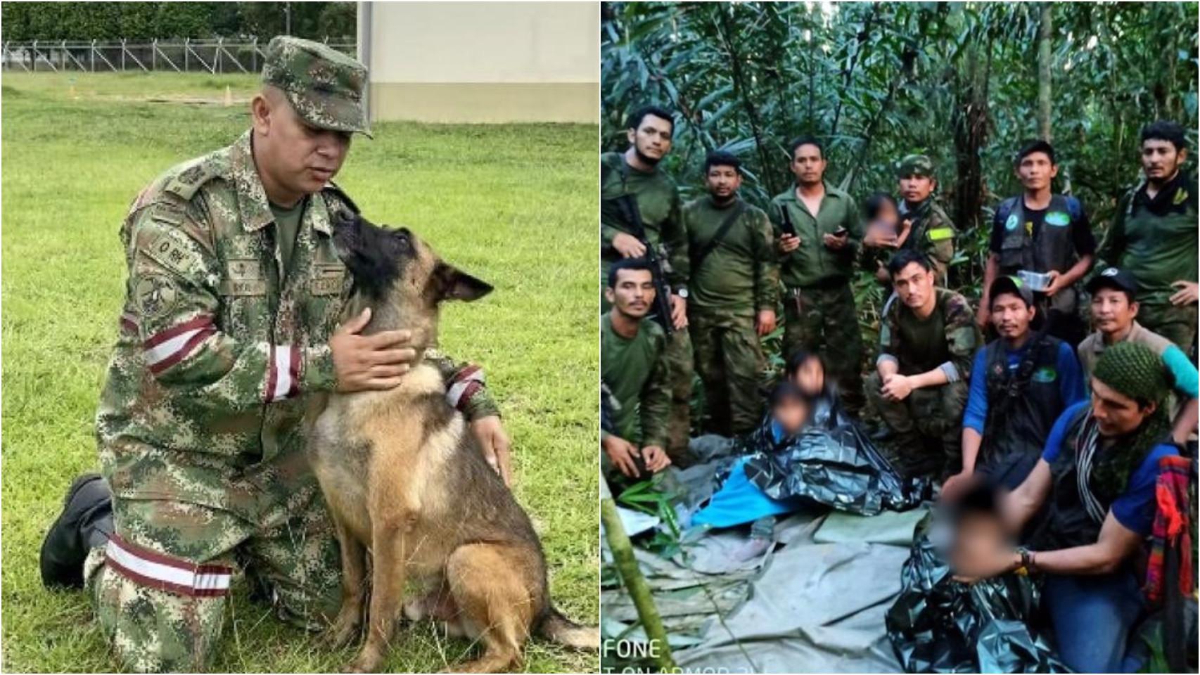 Wilson, el perro que ayudó a rescatar a los cuatro hermanos perdidos en la selva colombiana.