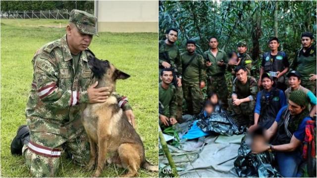 Wilson, el perro que ayudó a rescatar a los cuatro hermanos perdidos en la selva colombiana.