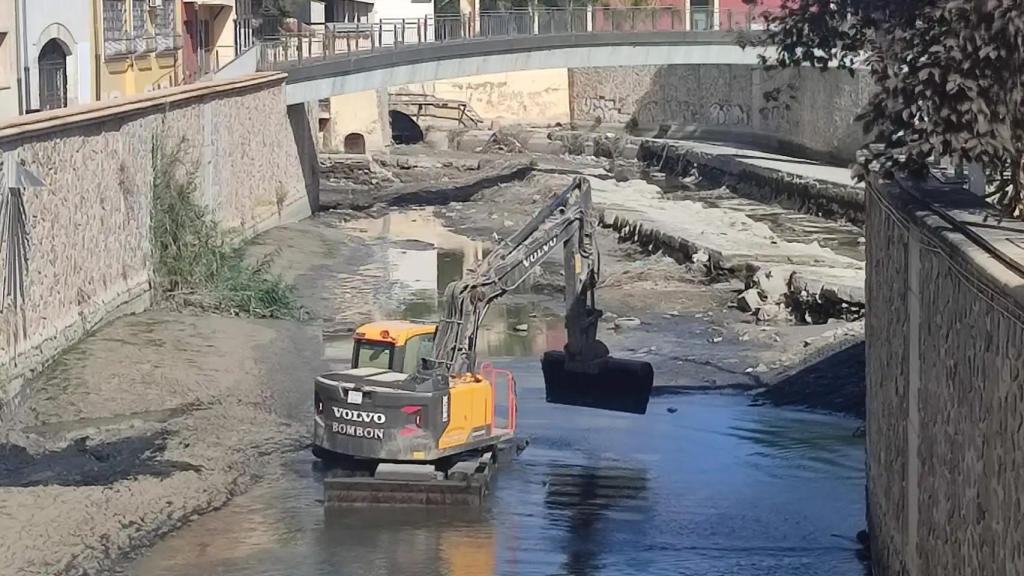 Un momento de la limpieza del cauce del Segura en Orihuela. CHS