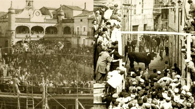 Exposición taurina en Ciudad Rodrigo