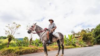 Nicoya, el lugar en el que los hombres tienen 7 veces más probabilidades de llegar a los 100 años que los japoneses