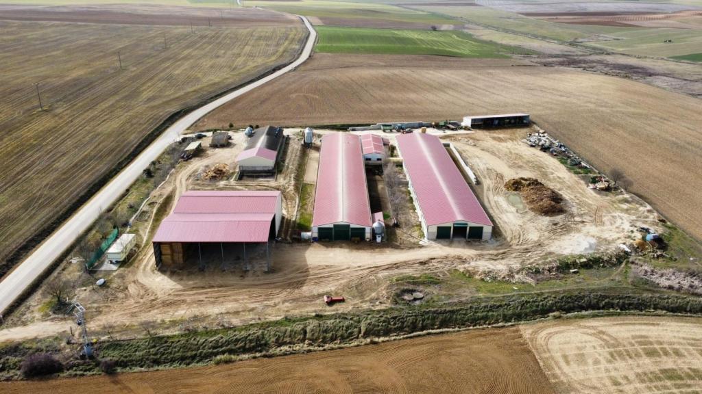 Las naves en la explotación de Gonzalo en la provincia de Valladolid
