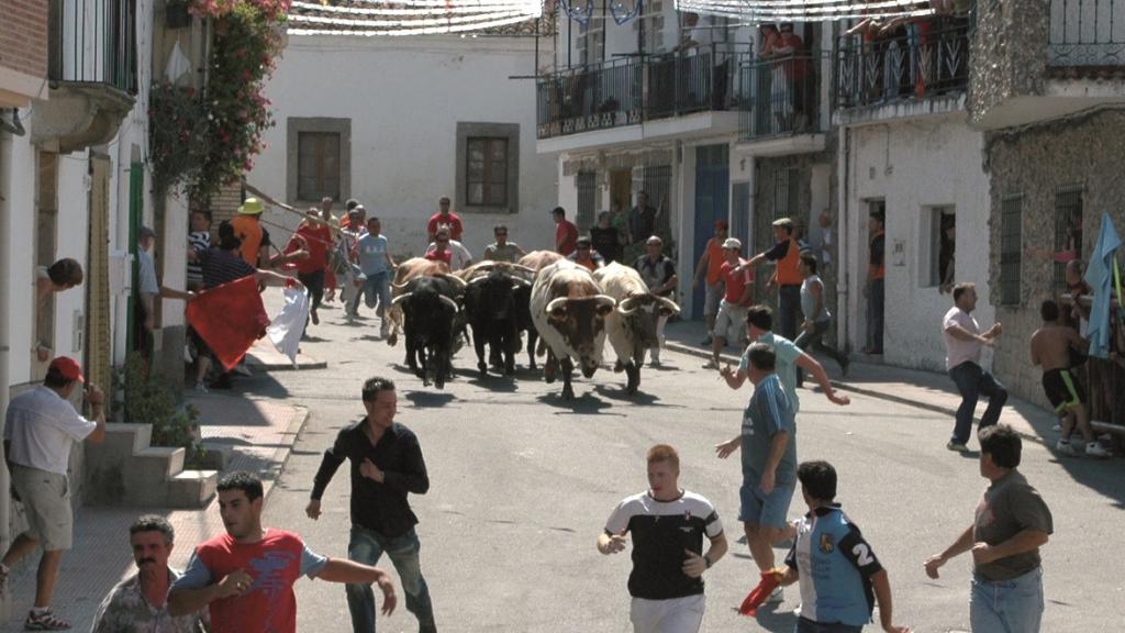 Encierro tradicional por las calles de Villarino de los Aires