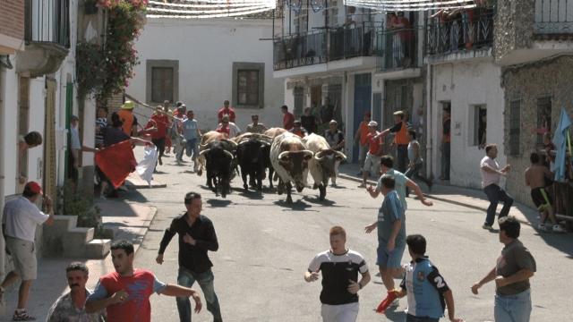 Encierro tradicional por las calles de Villarino de los Aires