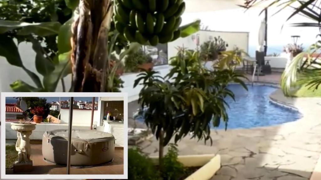 La piscina, el jardín y el jacuzzi de la casa.