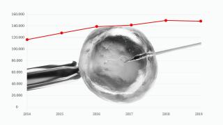 La fecundación in vitro ha vivido un aumento constante en España en el último lustro.