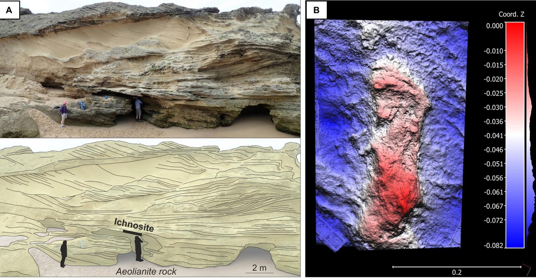 Lugar del hallazgo y estratigrafía de la huella.