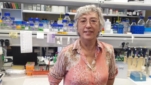 María Jesús Bullido es investigadora en el Centro de Biología Molecular Severo Ochoa.