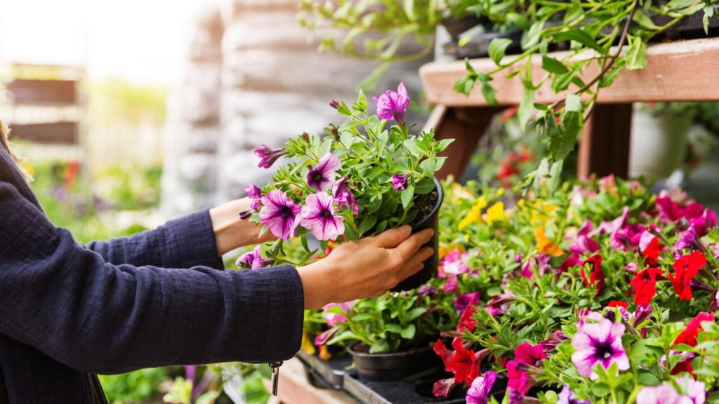 Algunas plantas son beneficiosas para el conjunto del jardín