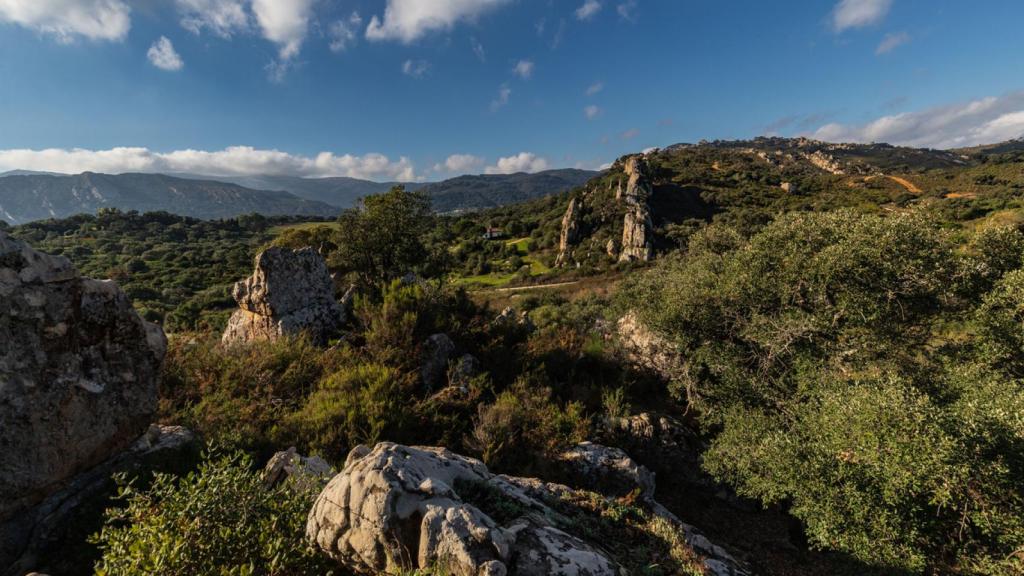 Parque Natural Los Alcornocales