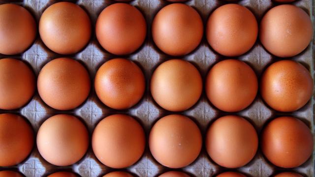 Este es el lugar en el que debes guardar los huevos en casa (pocos lo saben)