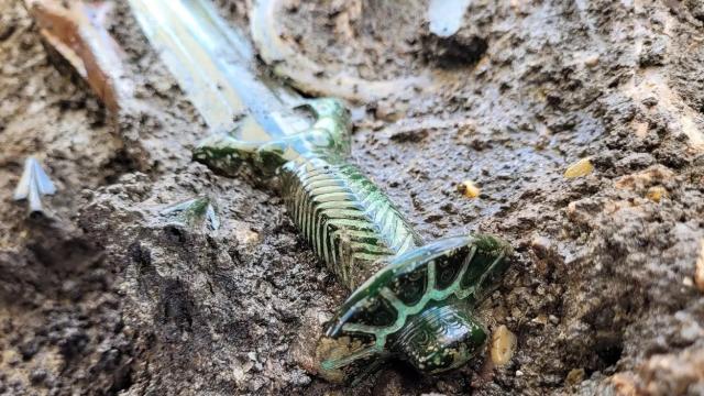 La impresionante espada de la Edad del Bronce hallada en Alemania. Foto: Dr. Woidich