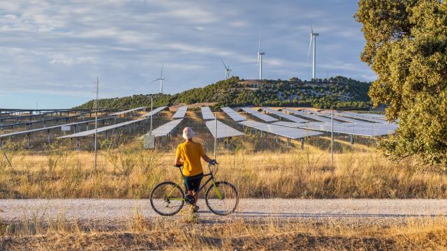 Un hombre observa un campo de energía solar y eólica.