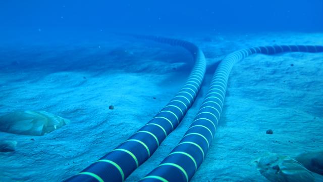 Un cable submarino.