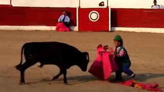 Una de las partes del espectáculo cómico taurino, 𝗘𝗹 𝗣𝗼𝗽𝗲𝘆𝗲 𝘁𝗼𝗿𝗲𝗿𝗼 𝘆 𝘀𝘂𝘀 𝗲𝗻𝗮𝗻𝗶𝘁𝗼𝘀 𝗺𝗮𝗿𝗶𝗻𝗲𝗿𝗼𝘀, que ha sido denunciado por la Fundación Franz Weber.