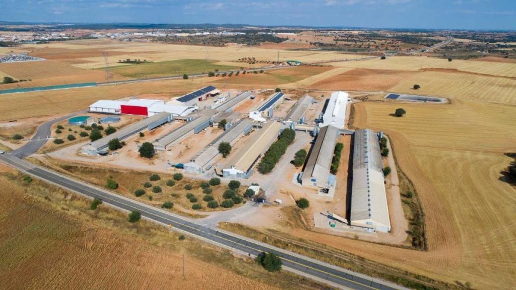 Granja Agas, en Motilla del Palancar (Cuenca)