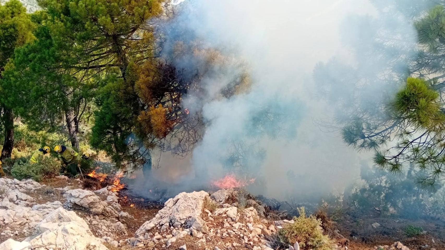 Declarado un incendio forestal en Canillas de Albaida (Málaga)
