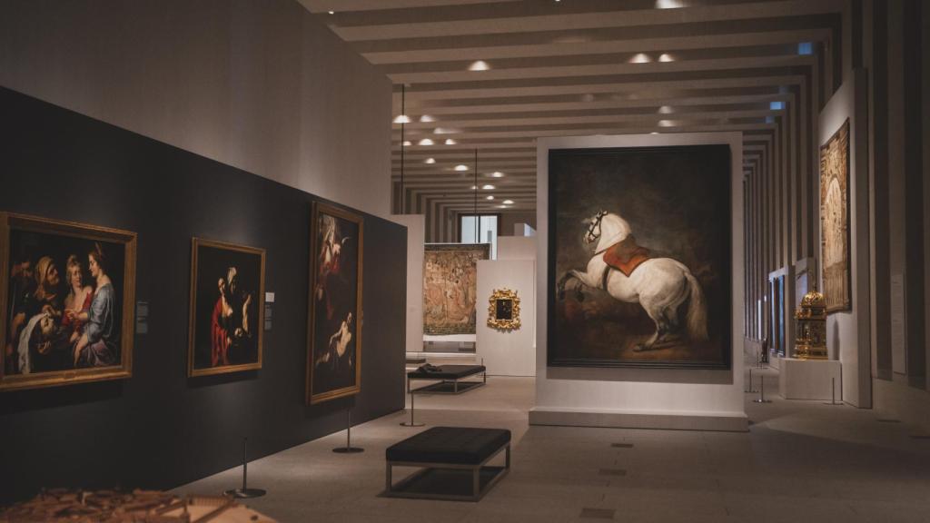 Galería de las Colecciones Reales