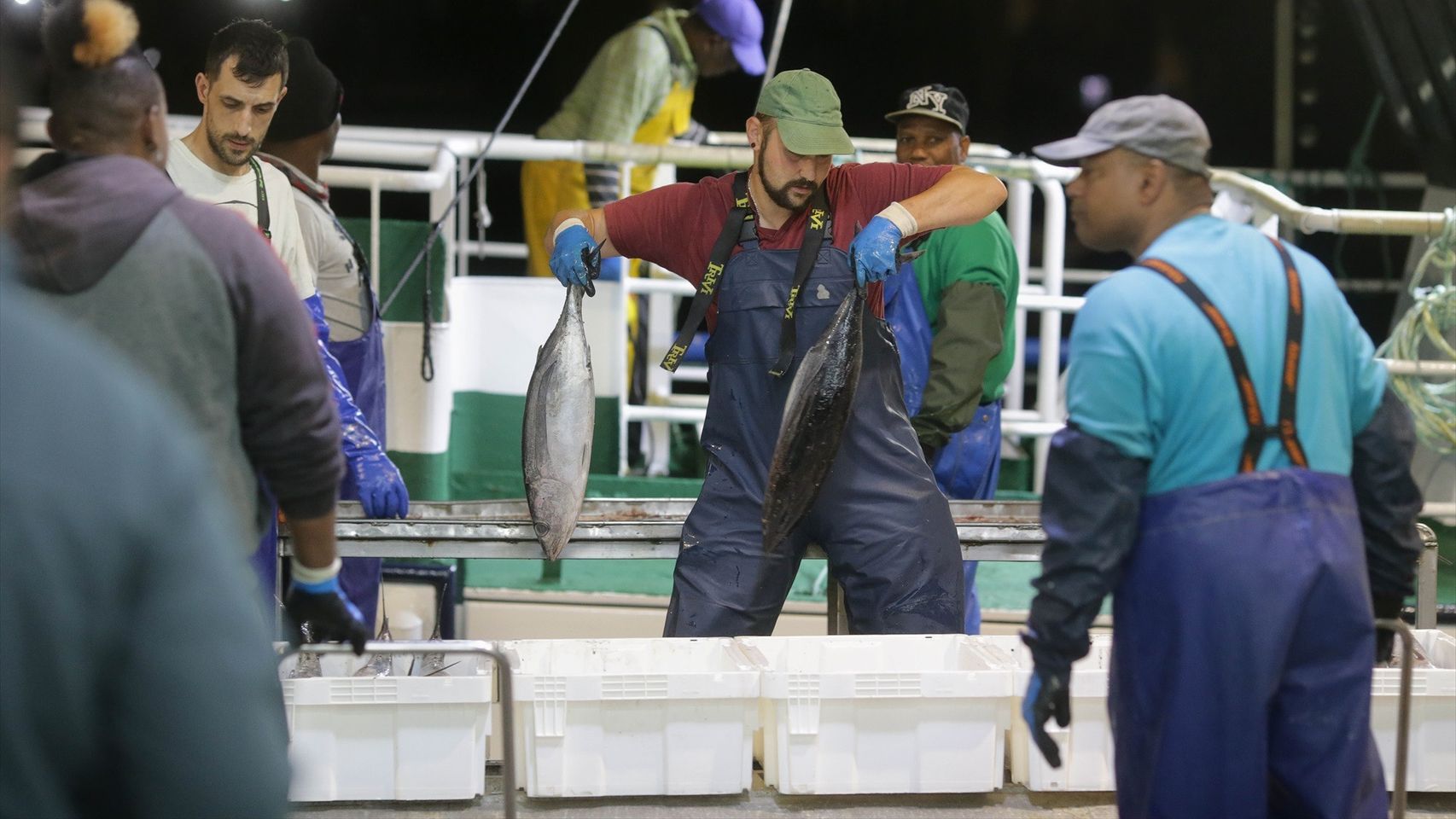 Trabajadores de la lonja.