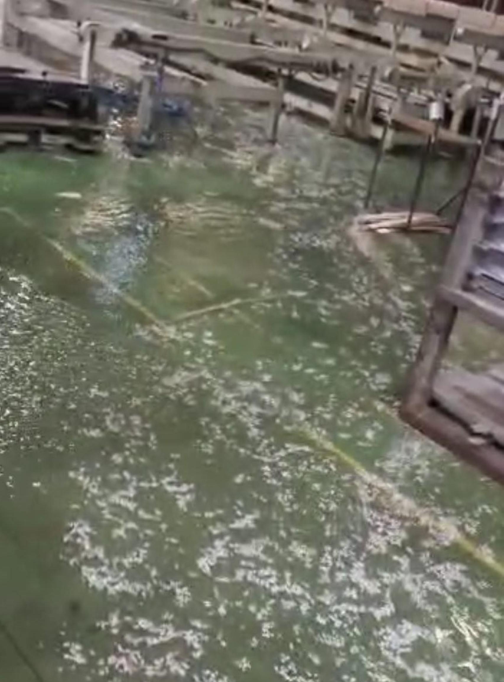 Inundación en una empresa de Toledo.