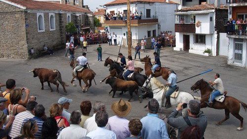Encierro popular a caballo por San Juan en El Payo